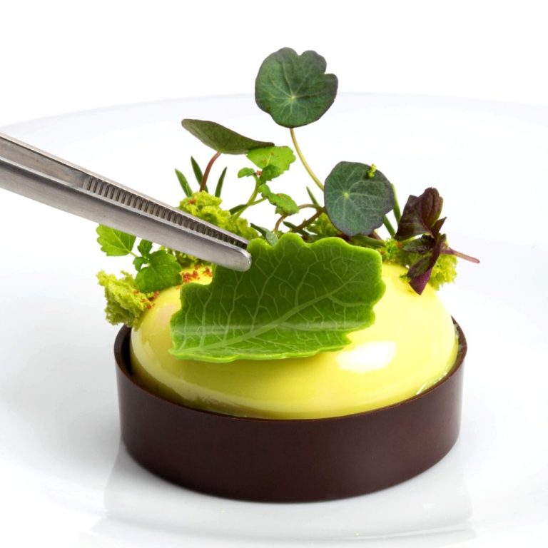 Zartibitter Schokoladenschale von Dobla, verziert mit Kräutern und garniert mit einem grünen Schokoladendekor in Blattform.